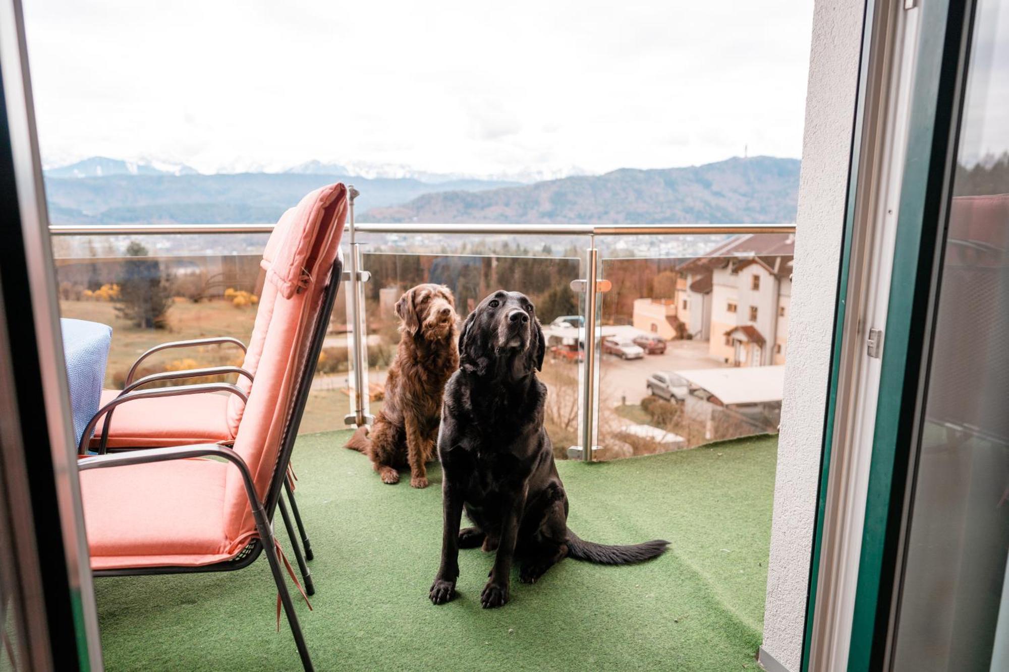 Urlaub Fuer Mensch Und Tier - Appartements Pirkhof Pörtschach am Wörthersee エクステリア 写真
